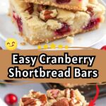 Easy Cranberry Shortbread Bars Recipe