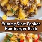 Slow Cooker Hamburger Hash