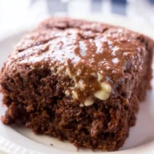 Double Chocolate Coca Cola Cake Recipe